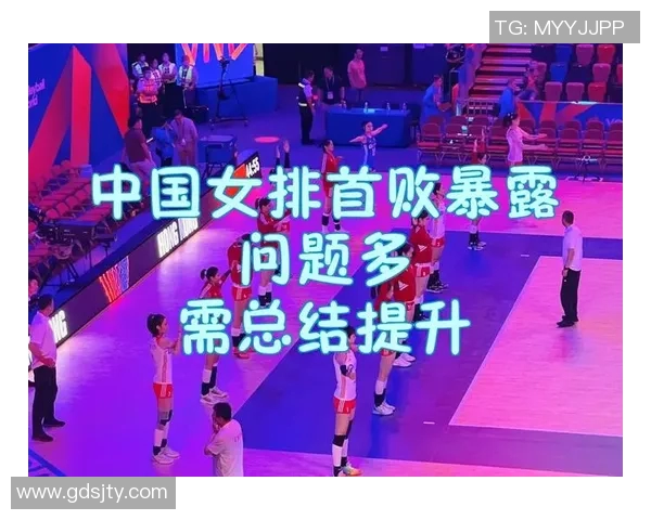 广州排球队与成都排球队赛后分析力量对比与战术总结